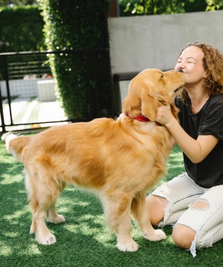 woman and golden retriever playing